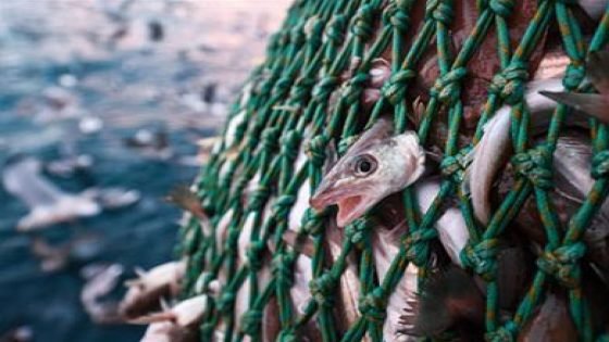 وقف الصيد في العقبة بمختلف أشكاله