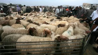 النائب الهواوشة: وفاة رجل داخل سوق الحلال في مأدبا بسبب الازدحام الخانق