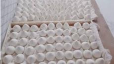 الغذاء والدواء تغلق مستودع جميد غير مرخص في عمان وتحجز 25 طنًا فاسدًا