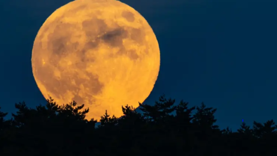 السماء تستقبل مساء الخميس “القمر البارد” .. آخر قمر عملاق لـ2025