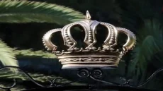 د.منذر الحوارات