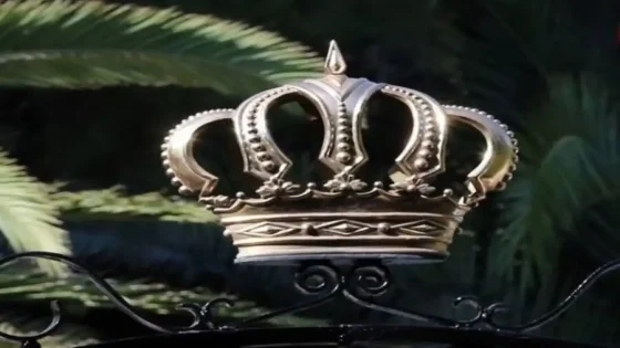 د.منذر الحوارات