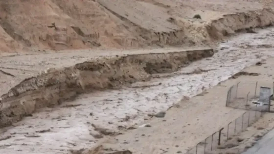 وزراء الداخلية والأشغال والسياحة يعلنون إجراءات فورية لمعالجة أضرار الهطول المطري في الكرك