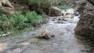 الأمطار تنعش ينابيع المملكة وتفتح نافذة أمل للأمن المائي والزراعي