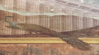 العثور على لوحات جدارية نادرة في فيلا بوبايا الرومانية