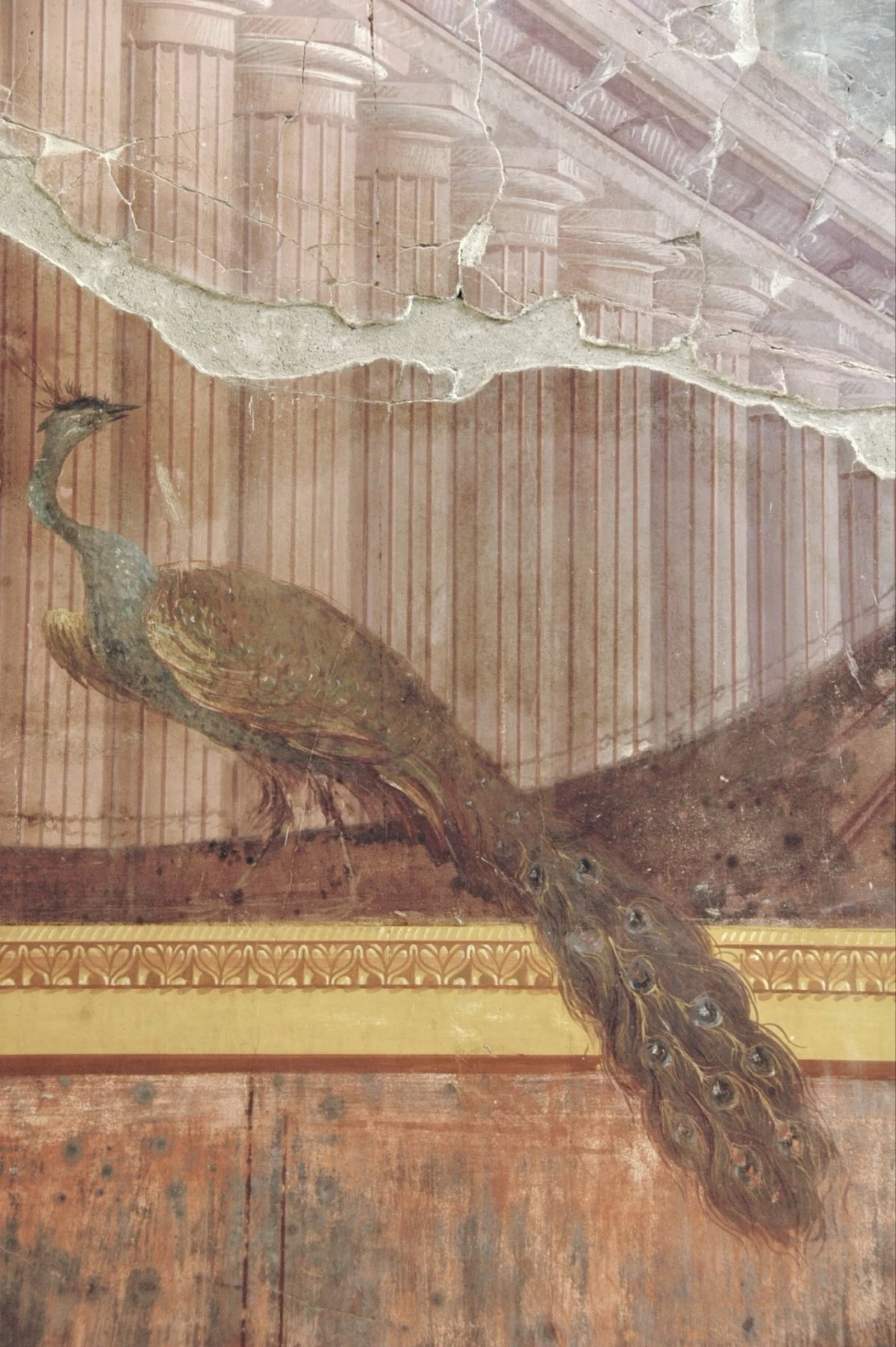 العثور على لوحات جدارية نادرة في فيلا بوبايا الرومانية