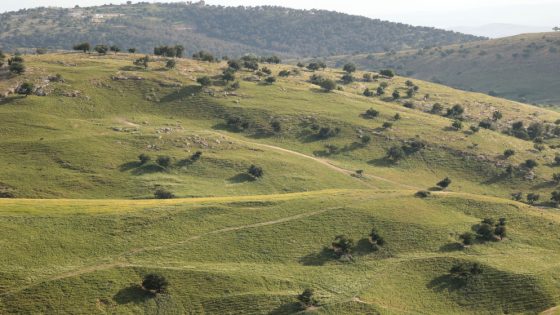 أجواء مشمسة والحرارة أعلى من معدلاتها بـ 6 درجات الخميس