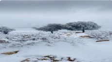 تساقط الثلوج في الهيشة بالشوبك وارتداء مناطق جنوب المملكة الثوب الأبيض