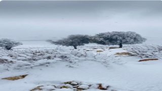 تساقط الثلوج في الهيشة بالشوبك وارتداء مناطق جنوب المملكة الثوب الأبيض