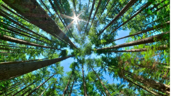 أفريقيا تفاجئ العالم بظاهرة لم يتوقعها أحد