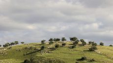 ارتفاع على الحرارة الجمعة وتوقع أمطار غزيرة في أماكن متفرقة من المملكة