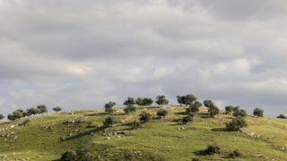 ارتفاع على الحرارة الجمعة وتوقع أمطار غزيرة في أماكن متفرقة من المملكة