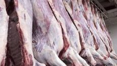 الزراعة: خطوات جديدة لضبط سوق اللحوم قبل الأضحى