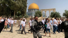 محافظة القدس: 7244 مستوطنا اقتحموا المسجد الأقصى خلال أيار