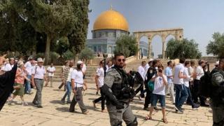محافظة القدس: 7244 مستوطنا اقتحموا المسجد الأقصى خلال أيار