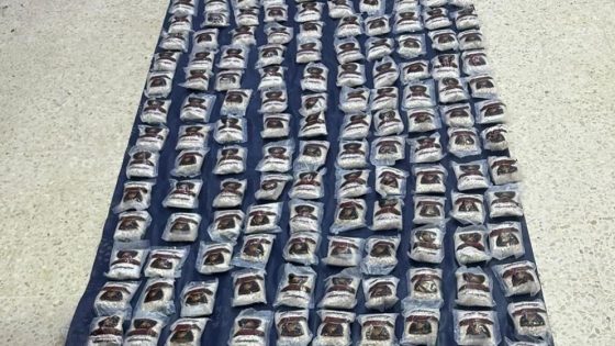 المنطقة العسكرية الشرقية تحبط محاولة تهريب مخدرات بواسطة بالونات