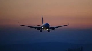 مصر تقرر إبعاد الأردنية دينا